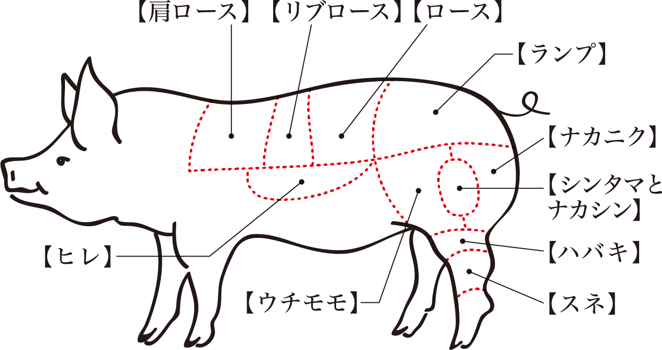 かつかみのとんかつ部位
